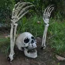 Skeleton Ground Stakes